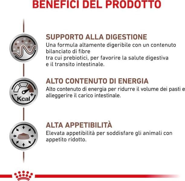 Royal Canin Gastrointestinal Croccantini per Gatti Adulti in Secco 101 Market - Poggibonsi, commercioVirtuoso.it