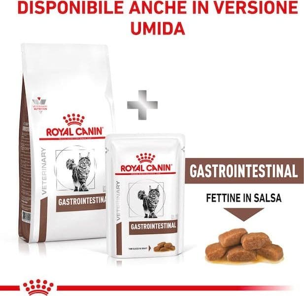 Royal Canin Gastrointestinal Croccantini per Gatti Adulti in Secco 101 Market - Poggibonsi, commercioVirtuoso.it