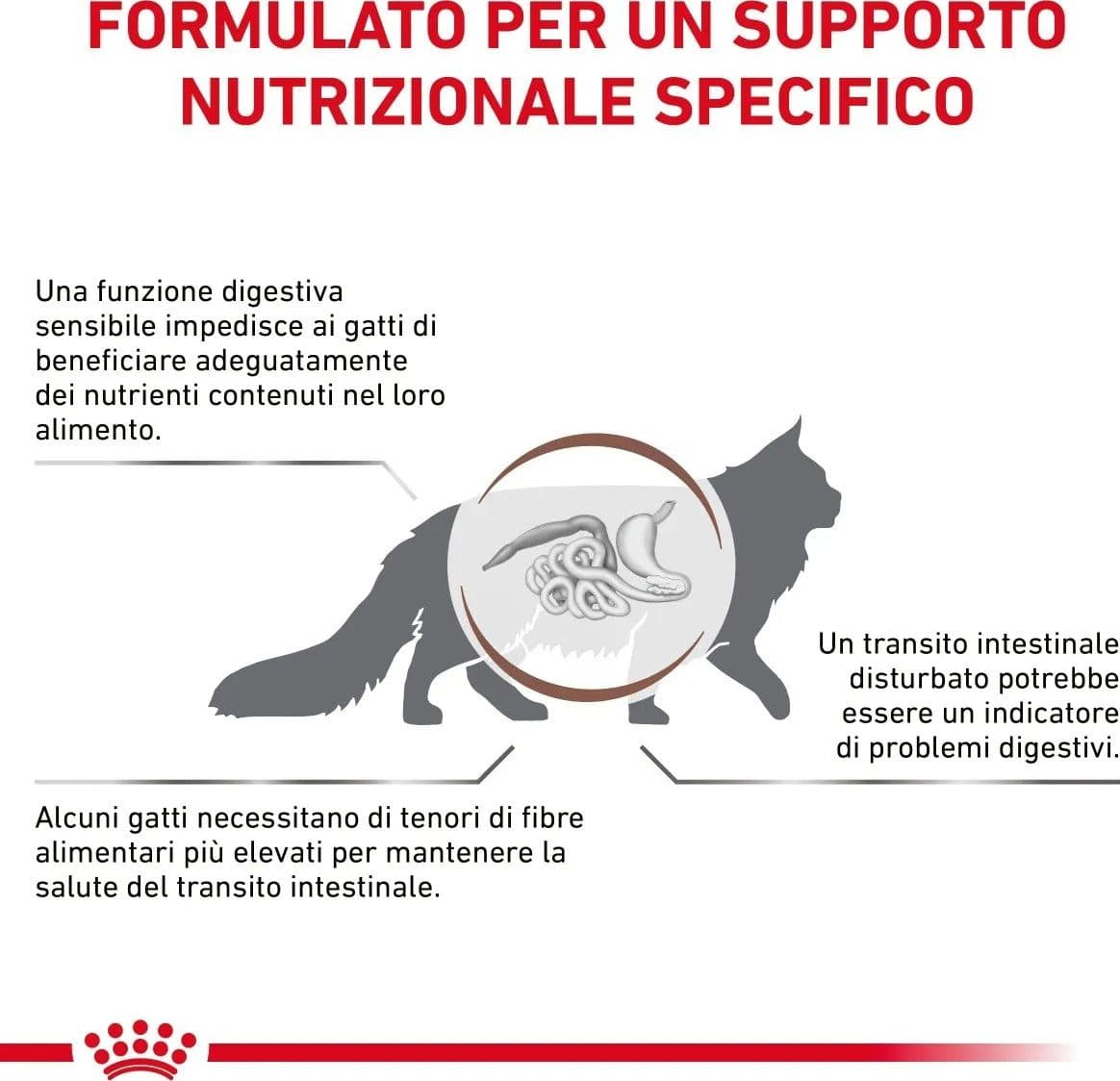 Royal Canin Gastrointestinal Fibre Response Croccantini per Gatti Adulti in Secco 101 Market - Poggibonsi, commercioVirtuoso.it