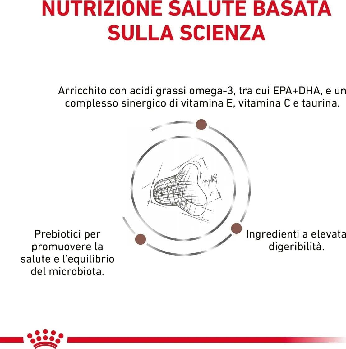 Royal Canin Gastrointestinal Fibre Response Croccantini per Gatti Adulti in Secco 101 Market - Poggibonsi, commercioVirtuoso.it