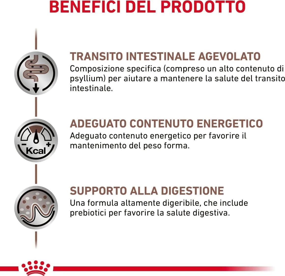 Royal Canin Gastrointestinal Fibre Response Croccantini per Gatti Adulti in Secco 101 Market - Poggibonsi, commercioVirtuoso.it