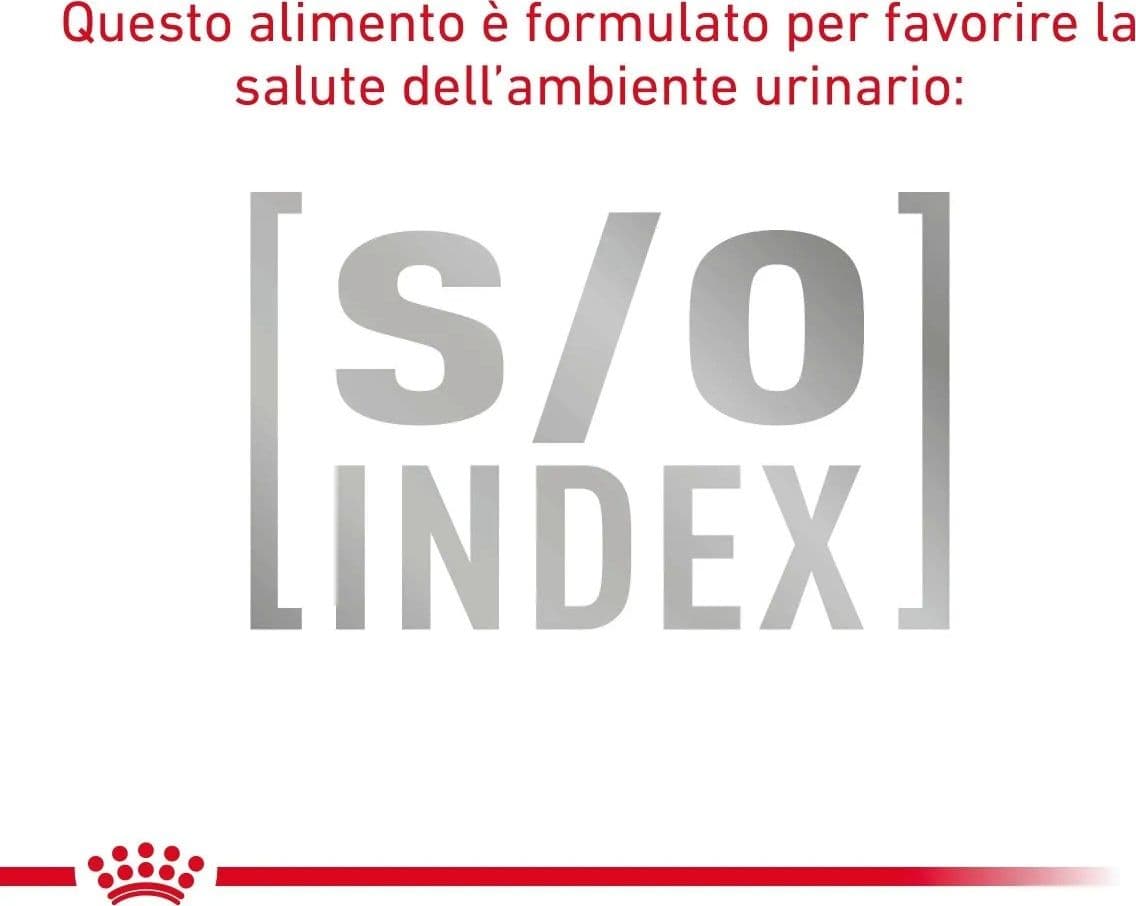 Royal Canin Gastrointestinal Fibre Response Croccantini per Gatti Adulti in Secco 101 Market - Poggibonsi, commercioVirtuoso.it