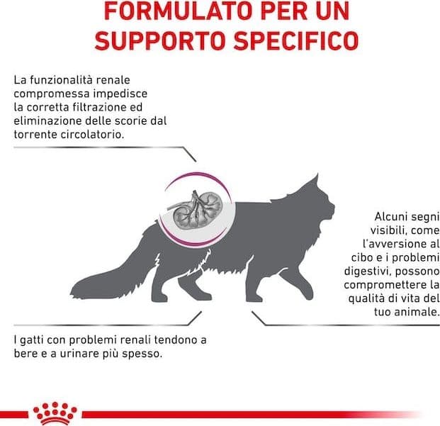 Royal Canin Renal Croccantini per Gatti Adulti in Secco 101 Market - Poggibonsi, commercioVirtuoso.it