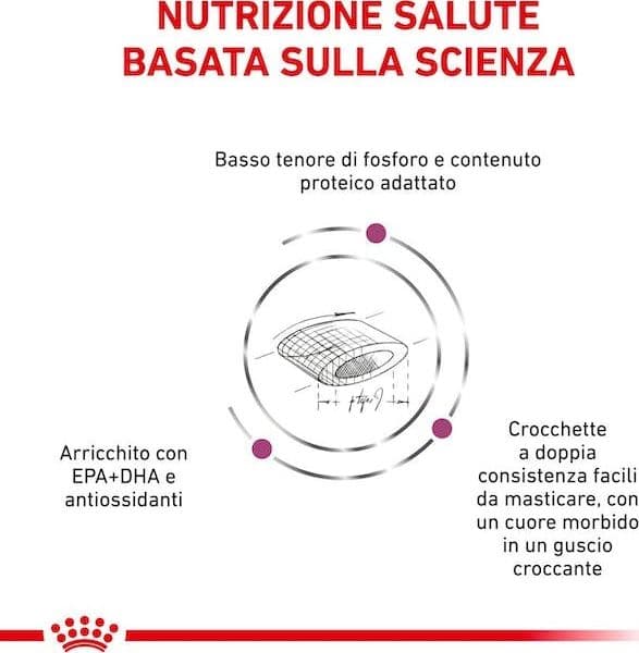 Royal Canin Renal Select Croccantini per Gatti Adulti in Secco 101 Market - Poggibonsi, commercioVirtuoso.it