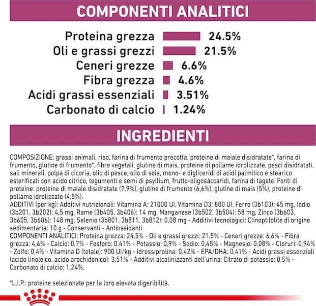 Royal Canin Renal Select Croccantini per Gatti Adulti in Secco 101 Market - Poggibonsi, commercioVirtuoso.it
