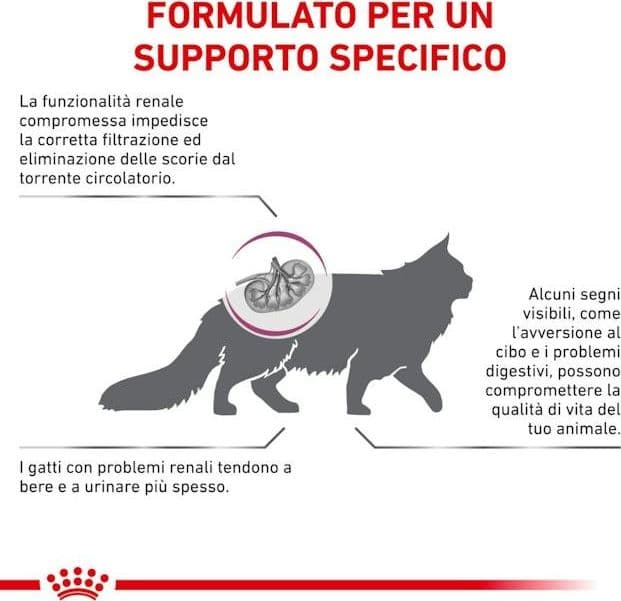 Royal Canin Renal Special Croccantini per Gatti Adulti in Secco 101 Market - Poggibonsi, commercioVirtuoso.it