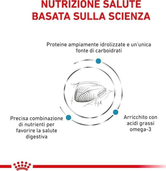 Royal Canin Hypoallergenic Croccantini per Gatti Adulti in Secco 101 Market - Poggibonsi, commercioVirtuoso.it