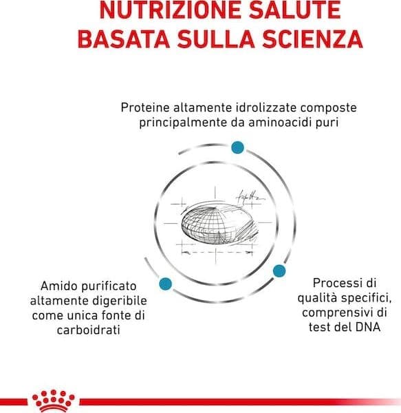 Royal Canin Anallergenic Croccantini per Gatti Adulti in Secco 101 Market - Poggibonsi, commercioVirtuoso.it