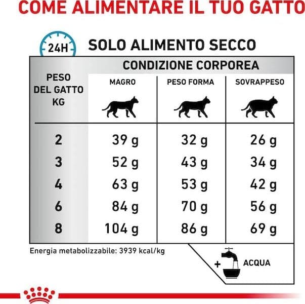 Royal Canin Anallergenic Croccantini per Gatti Adulti in Secco 101 Market - Poggibonsi, commercioVirtuoso.it