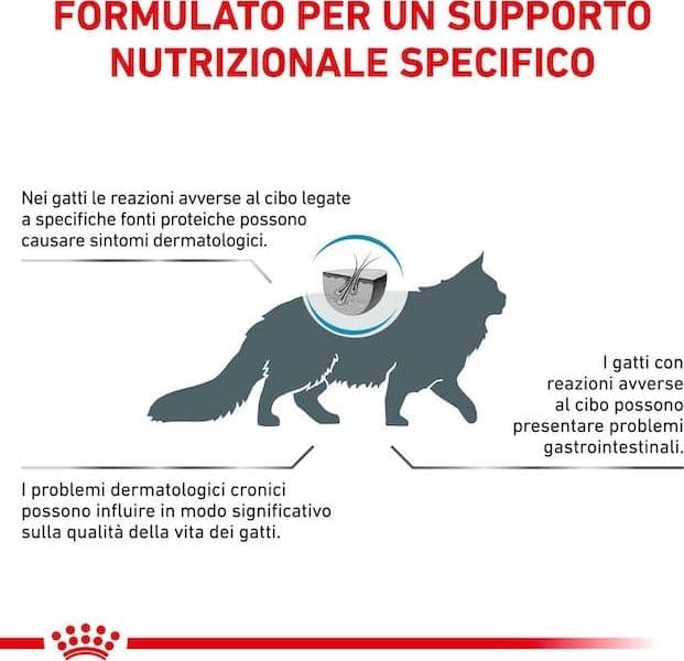 Royal Canin Anallergenic Croccantini per Gatti Adulti in Secco 101 Market - Poggibonsi, commercioVirtuoso.it