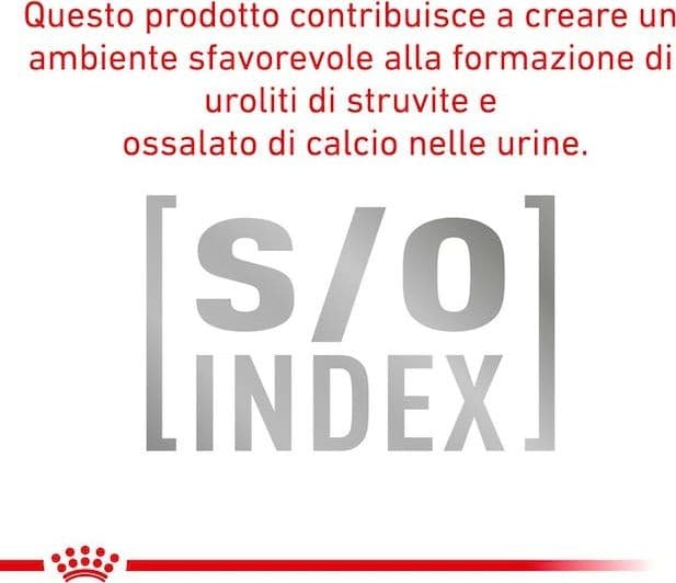 Royal Canin Anallergenic Croccantini per Gatti Adulti in Secco 101 Market - Poggibonsi, commercioVirtuoso.it