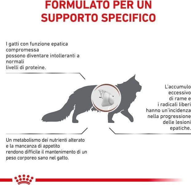 Royal Canin Hepatic Croccantini per Gatti Adulti in Secco 101 Market - Poggibonsi, commercioVirtuoso.it