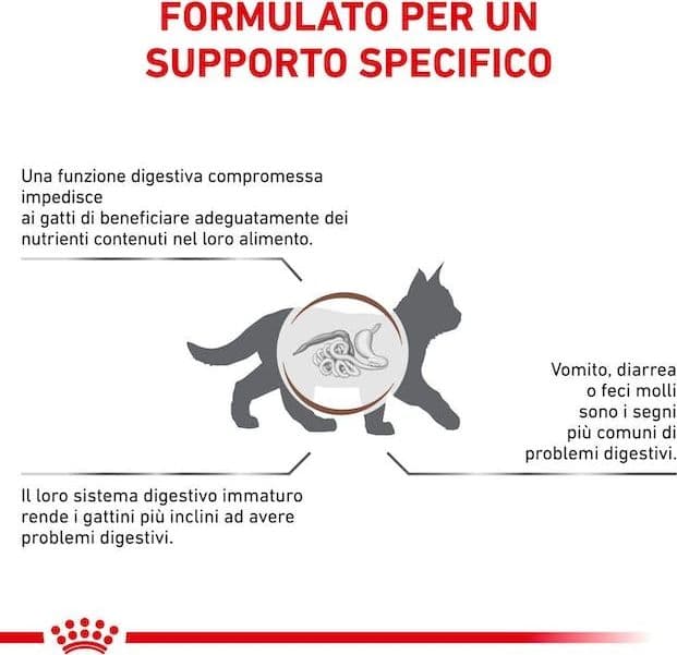 Royal Canin Gastrointestinal Kitten Croccantini per Gatti Cuccioli in Secco 101 Market - Poggibonsi, commercioVirtuoso.it