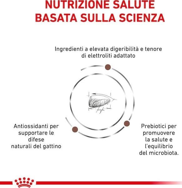 Royal Canin Gastrointestinal Kitten Croccantini per Gatti Cuccioli in Secco 101 Market - Poggibonsi, commercioVirtuoso.it