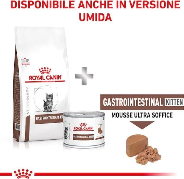 Royal Canin Gastrointestinal Kitten Croccantini per Gatti Cuccioli in Secco 101 Market - Poggibonsi, commercioVirtuoso.it