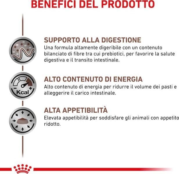 Royal Canin Gastrointestinal Scatoletta per Cani Adulti in Secco 101 Market - Poggibonsi, commercioVirtuoso.it