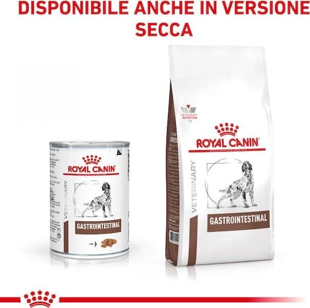 Royal Canin Gastrointestinal Scatoletta per Cani Adulti in Secco 101 Market - Poggibonsi, commercioVirtuoso.it
