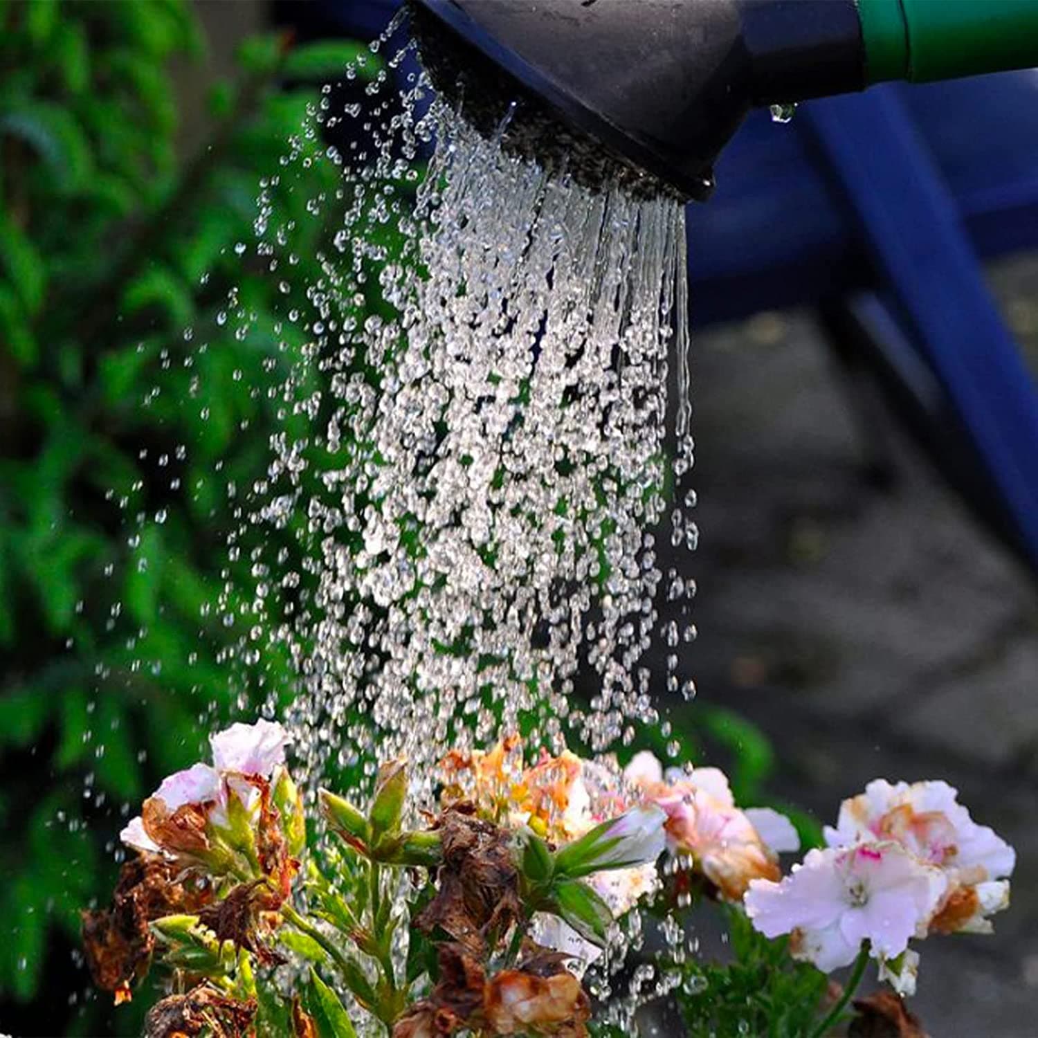 Annaffiatoio a cipolla in plastica verde per irrigazione giardino in Irrigatori La Zappa - Altamura, commercioVirtuoso.it