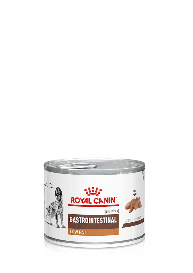 Royal Canin Gastrointestinal Low Fat Scatoletta per Cani Adulti in Secco 101 Market - Poggibonsi, commercioVirtuoso.it