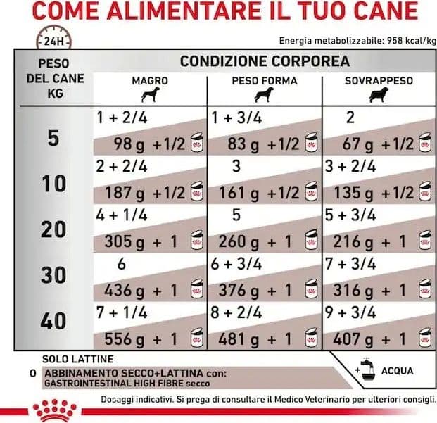 Royal Canin Gastrointestinal Low Fat Scatoletta per Cani Adulti 410gr in Secco 101 Market - Poggibonsi, commercioVirtuoso.it