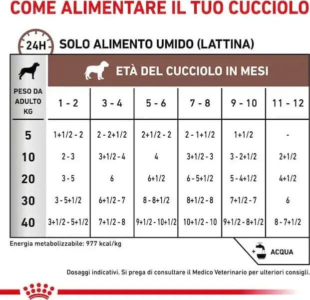 Royal Canin Gastrointestinal Puppy Scatoletta per Cani Cuccioli 195gr in Secco 101 Market - Poggibonsi, commercioVirtuoso.it