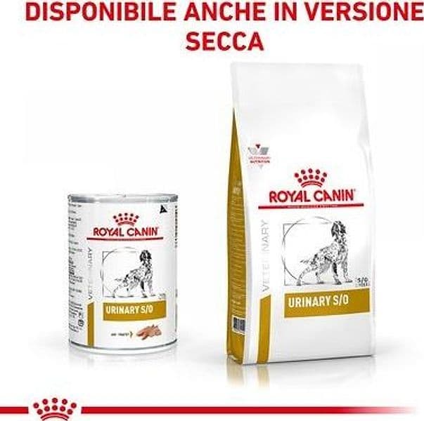 Royal Canin Urinary S/O Scatoletta per Cani Adulti 410gr in Secco 101 Market - Poggibonsi, commercioVirtuoso.it