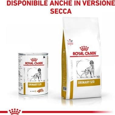 Royal Canin Urinary S/O Scatoletta per Cani Adulti 410gr in Secco 101 Market - Poggibonsi, commercioVirtuoso.it