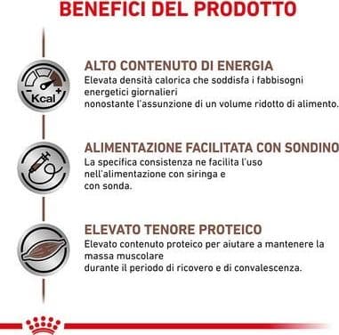 Royal Canin Recovery Scatoletta per Cani e Gatti Adulti 195gr in Umido 101 Market - Poggibonsi, commercioVirtuoso.it