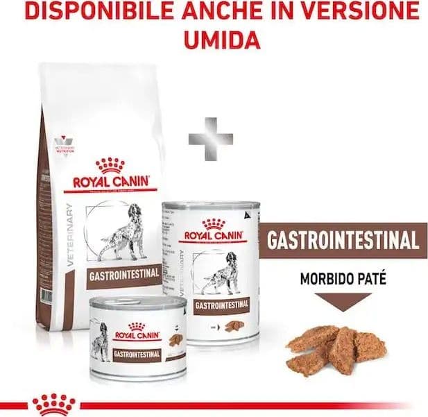 Royal Canin Gastrointestinal Croccantini per Cani Adulti in Secco 101 Market - Poggibonsi, commercioVirtuoso.it