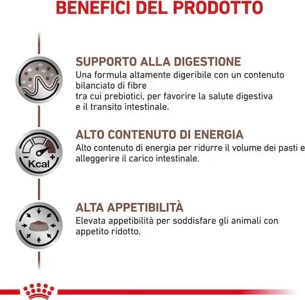 Royal Canin Gastrointestinal Croccantini per Cani Adulti in Secco 101 Market - Poggibonsi, commercioVirtuoso.it
