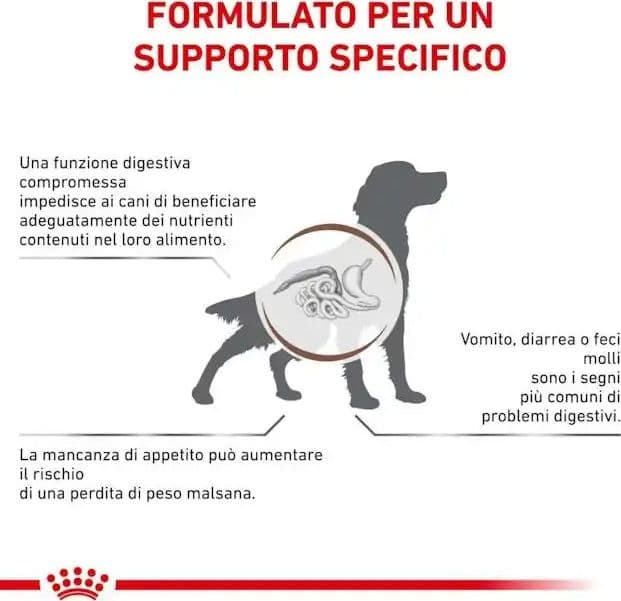 Royal Canin Gastrointestinal Croccantini per Cani Adulti in Secco 101 Market - Poggibonsi, commercioVirtuoso.it