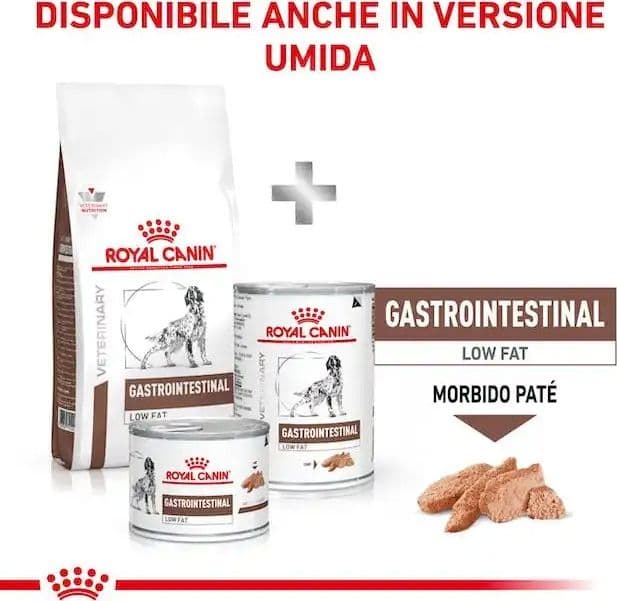 Royal Canin Gastrointestinal Low Fat Croccantini per Cani Adulti in Secco 101 Market - Poggibonsi, commercioVirtuoso.it