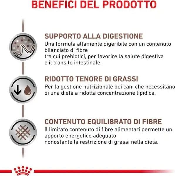 Royal Canin Gastrointestinal Low Fat Croccantini per Cani Adulti in Secco 101 Market - Poggibonsi, commercioVirtuoso.it