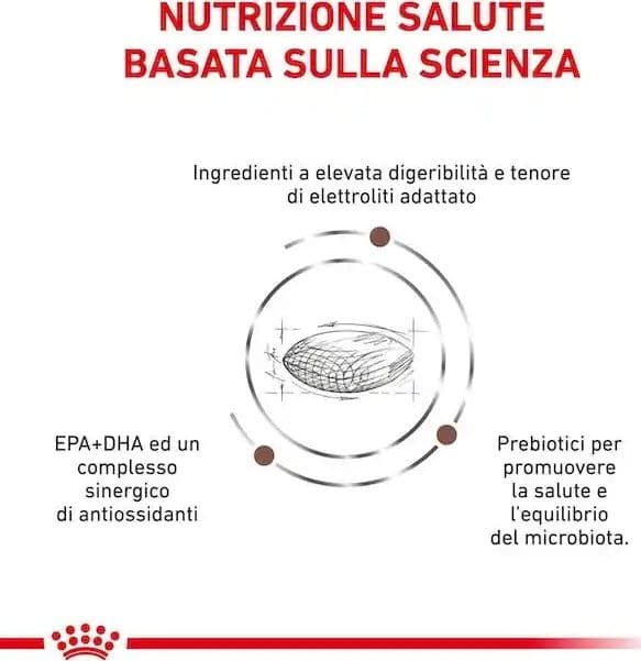Royal Canin Gastrointestinal Low Fat Croccantini per Cani Adulti in Secco 101 Market - Poggibonsi, commercioVirtuoso.it