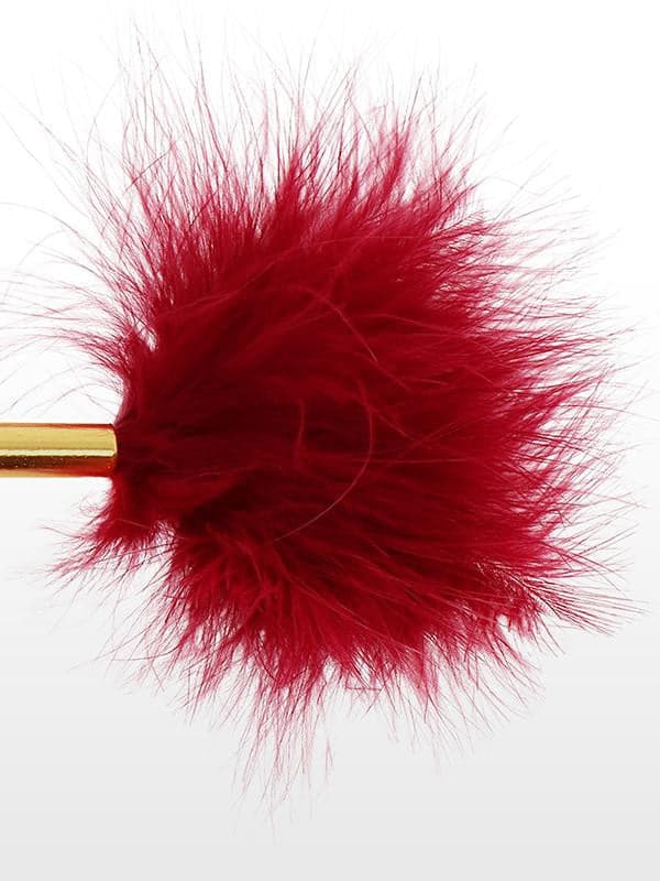 Piuma Luxury Rosso in Accessori per eccitare Mettimelo.it - Casoria, commercioVirtuoso.it