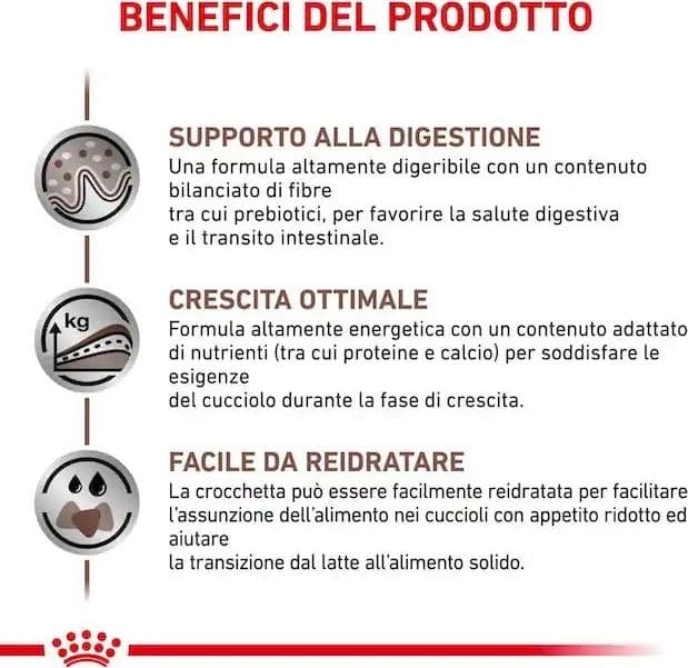 Royal Canin Gastrointestinal Puppy Croccantini per Cani Cuccioli in Secco 101 Market - Poggibonsi, commercioVirtuoso.it