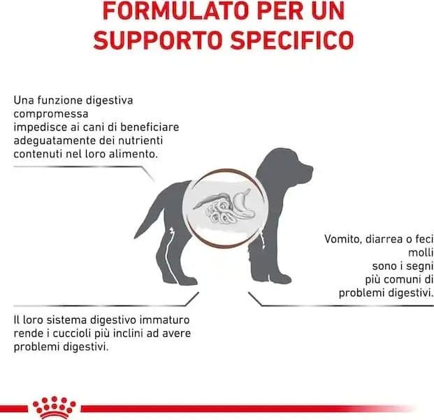Royal Canin Gastrointestinal Puppy Croccantini per Cani Cuccioli in Secco 101 Market - Poggibonsi, commercioVirtuoso.it