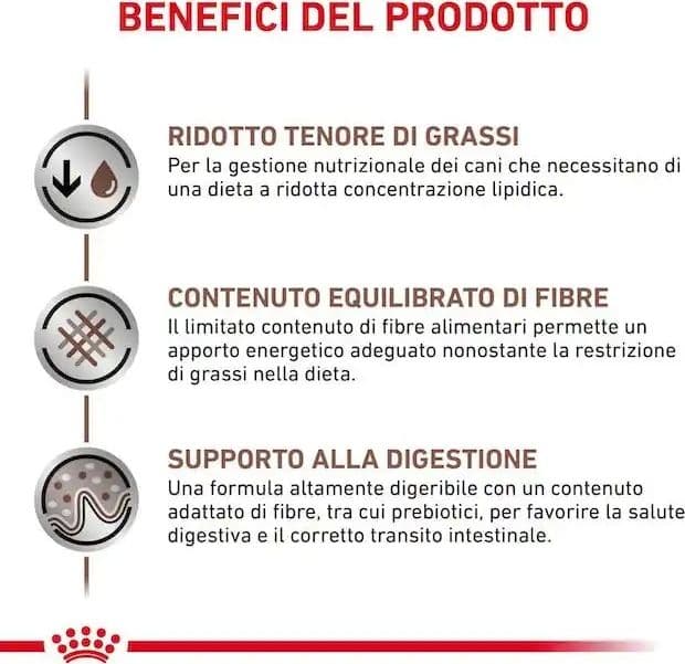 Royal Canin Gastrointestinal Low Fat Small Dogs Croccantini per Cani Adulti in Secco 101 Market - Poggibonsi, commercioVirtuoso.it