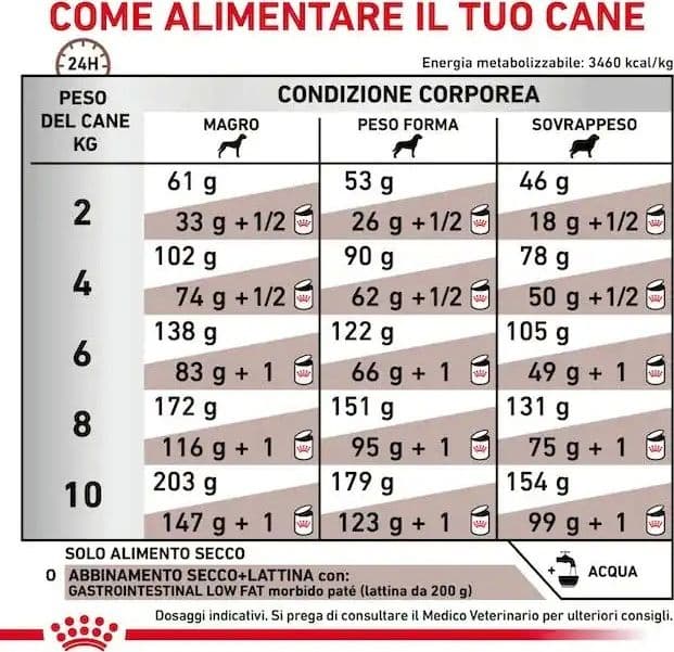Royal Canin Gastrointestinal Low Fat Small Dogs Croccantini per Cani Adulti in Secco 101 Market - Poggibonsi, commercioVirtuoso.it