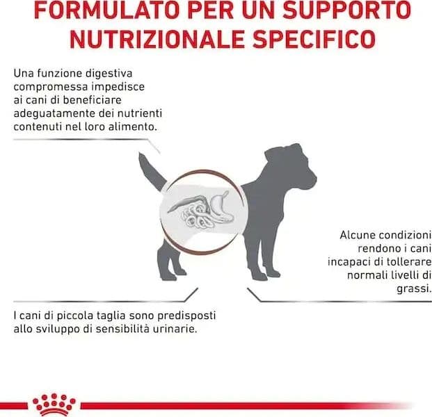 Royal Canin Gastrointestinal Low Fat Small Dogs Croccantini per Cani Adulti in Secco 101 Market - Poggibonsi, commercioVirtuoso.it