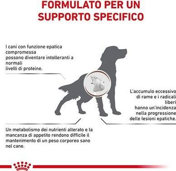 Royal Canin Hepatic Croccantini per Cani Adulti in Secco 101 Market - Poggibonsi, commercioVirtuoso.it