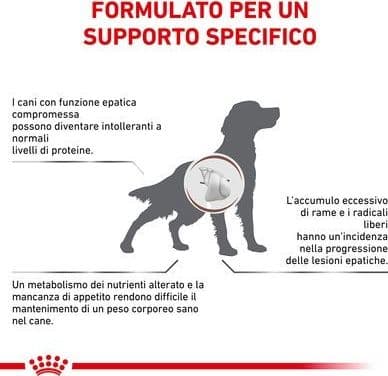 Royal Canin Hepatic Croccantini per Cani Adulti in Secco 101 Market - Poggibonsi, commercioVirtuoso.it
