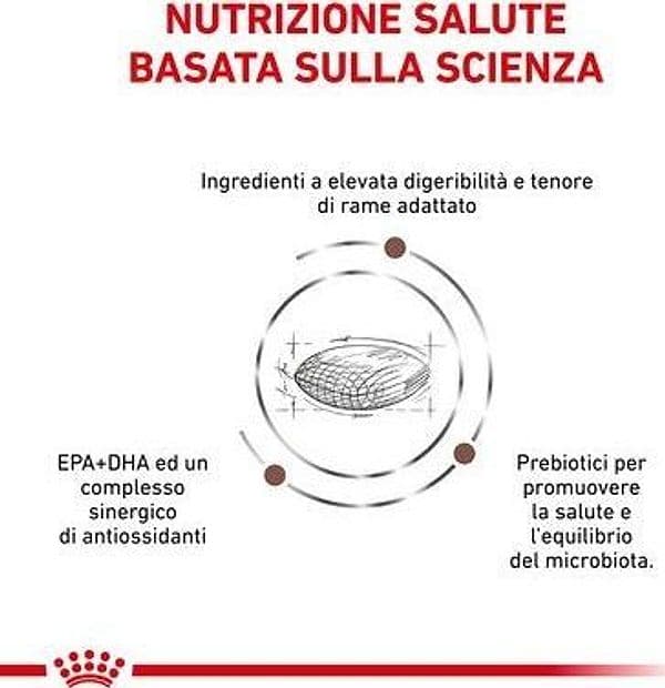 Royal Canin Hepatic Croccantini per Cani Adulti in Secco 101 Market - Poggibonsi, commercioVirtuoso.it