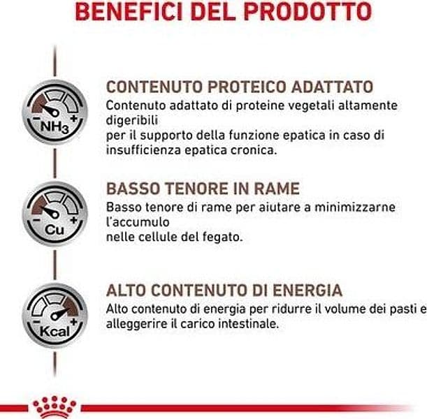 Royal Canin Hepatic Croccantini per Cani Adulti in Secco 101 Market - Poggibonsi, commercioVirtuoso.it