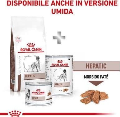 Royal Canin Hepatic Croccantini per Cani Adulti in Secco 101 Market - Poggibonsi, commercioVirtuoso.it