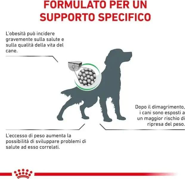Royal Canin Satiety Weight Menagement Croccantini per Cani Adulti in Secco 101 Market - Poggibonsi, commercioVirtuoso.it