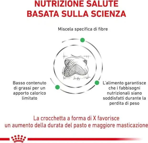 Royal Canin Satiety Weight Menagement Croccantini per Cani Adulti in Secco 101 Market - Poggibonsi, commercioVirtuoso.it