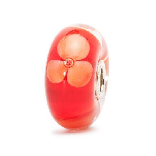 Set Pesca-Trollbeads in Anelli per ami Alba Gioielli - Casoria, commercioVirtuoso.it