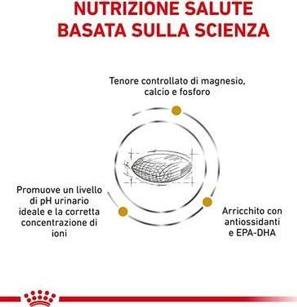 Royal Canin Urinary S/O Croccantini per Cani Adulti in Secco 101 Market - Poggibonsi, commercioVirtuoso.it