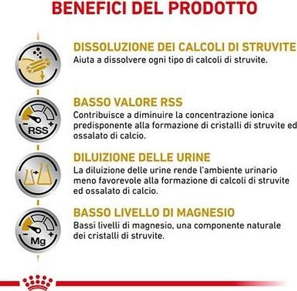 Royal Canin Urinary S/O Croccantini per Cani Adulti in Secco 101 Market - Poggibonsi, commercioVirtuoso.it